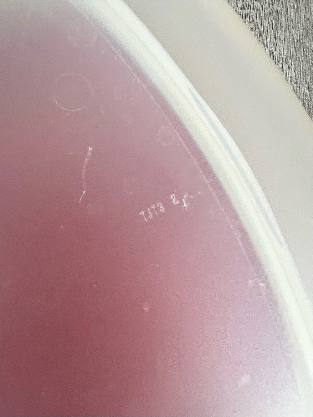 Rubbermaid Easy Find Lid Container 1.5 Gallon 24 Cup Red Freezer Safe 7J73